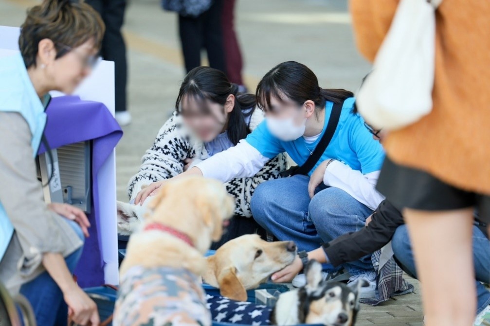 介護犬ふれあい体験の様子