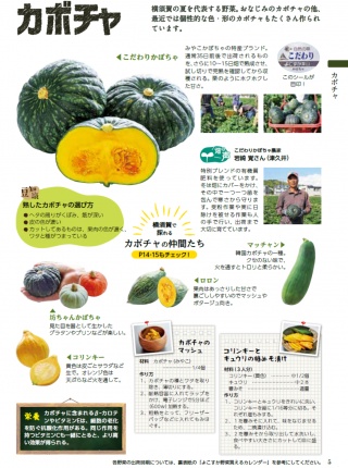 掲載内容例①