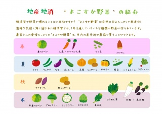 【よこすか野菜の紹介】※クリックで拡大