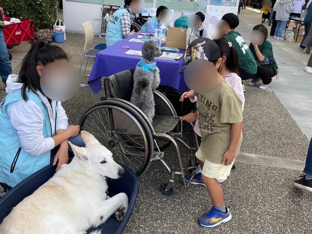 介護犬ふれあい体験の様子
