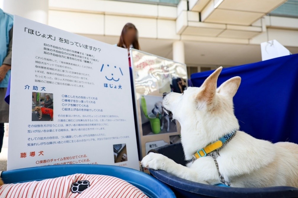 介助犬ふれあいの様子①