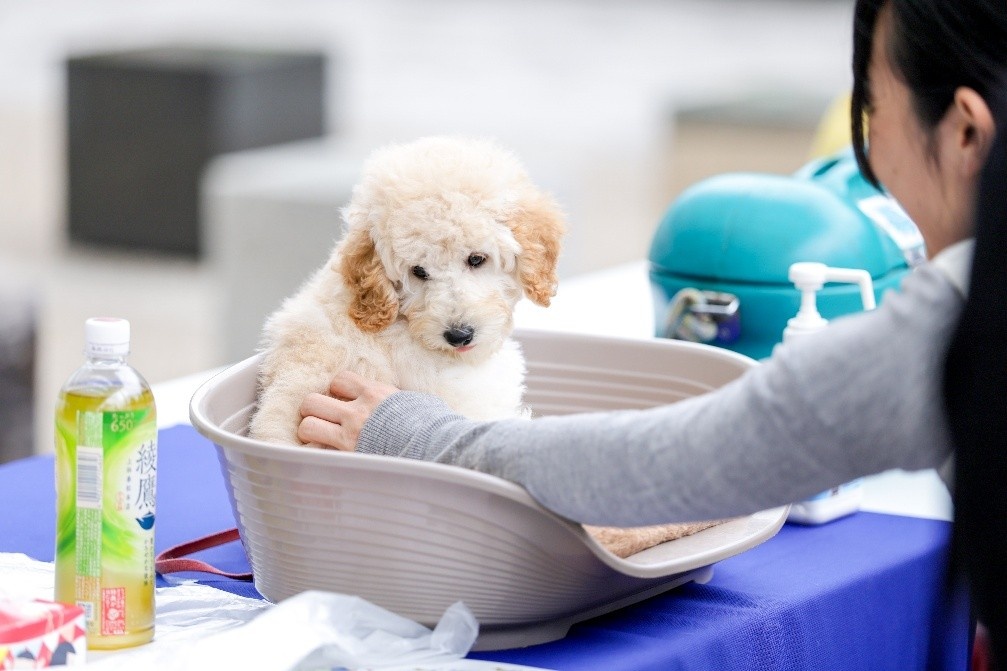 介助犬ふれあいの様子②