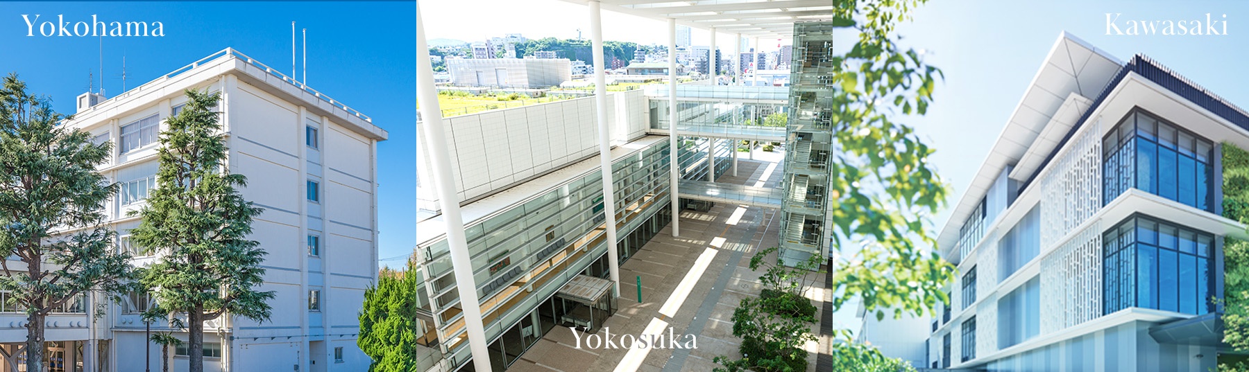 公立大学法人 神奈川県立保健福祉大学