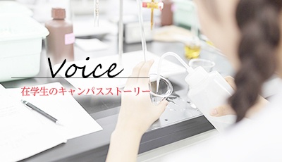 在学生のキャンパスストーリー　Voice